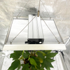 Lampe de culture à LED à spectre complet 100w pour plantes en pot