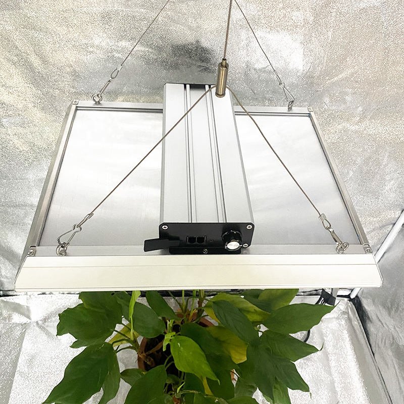 Lampe de culture à LED hydroponique 100w pour plantes en pot