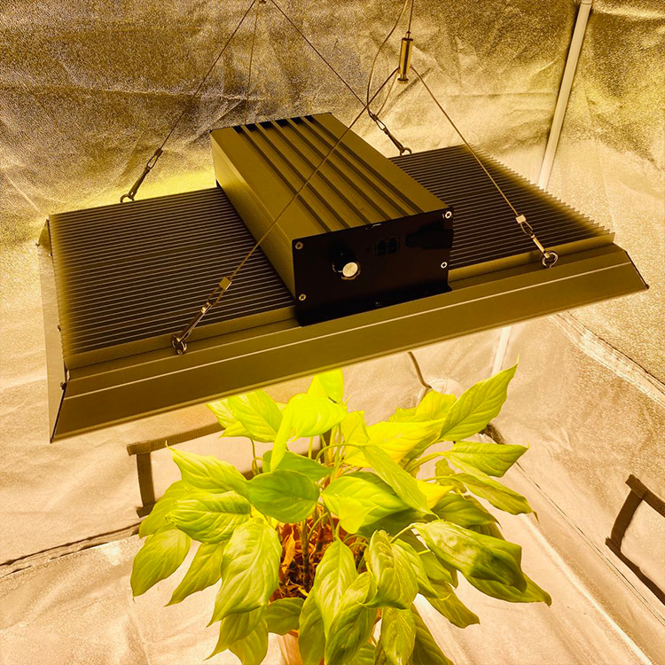 Hydroponic 400 watts LED Cultiver la lumière pour les plantes de pot