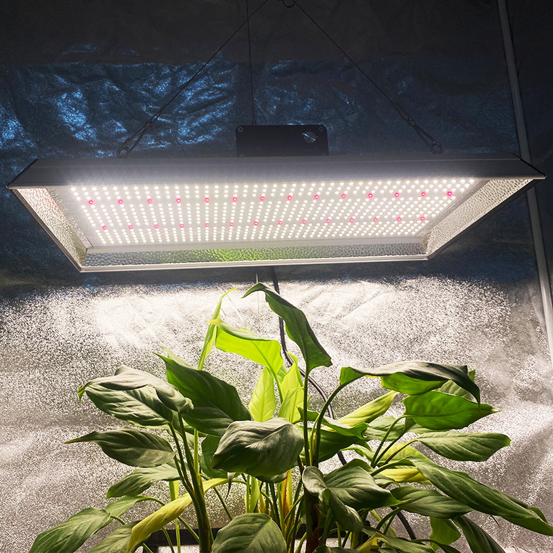 Lampe de culture à LED hydroponique 200w pour plantes en pot
