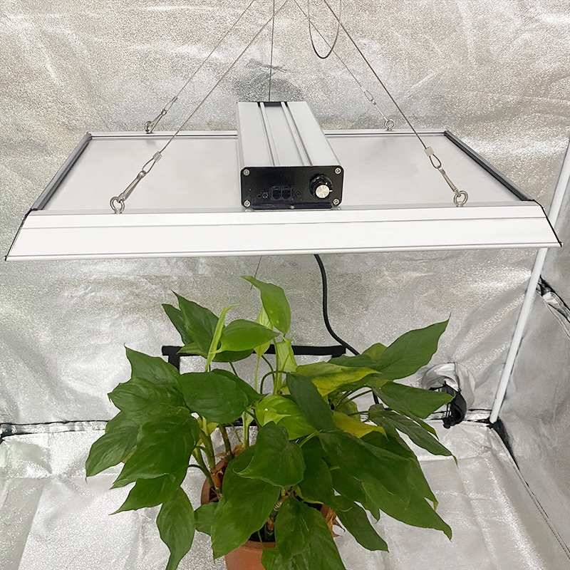Lampe de culture à LED professionnelle 200w pour plantes tropicales