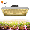 Low Energy hydroponique LED Grow Light pour les tomates