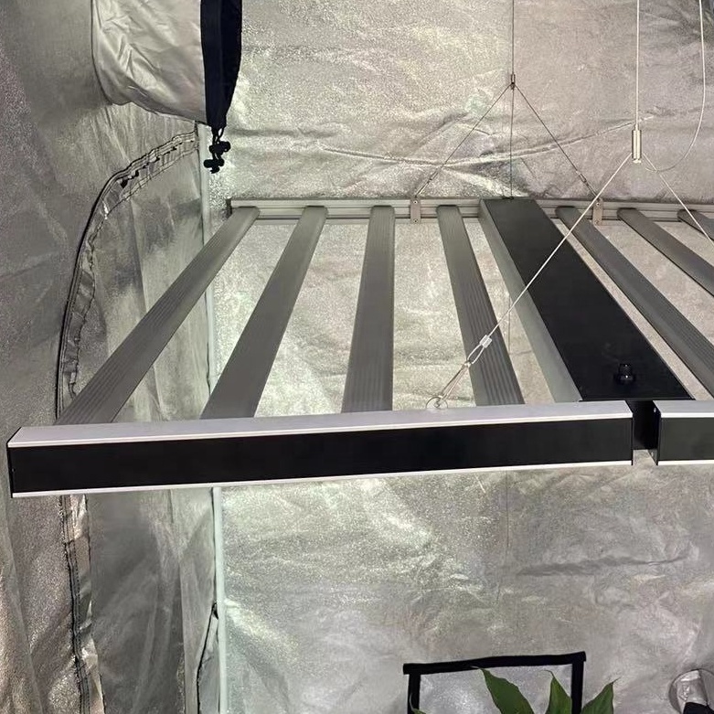Greenhouse 1000W LED Cultiver la lumière pour les tomates