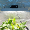 Lampe de culture à LED hydroponique 100w pour plantes tropicales